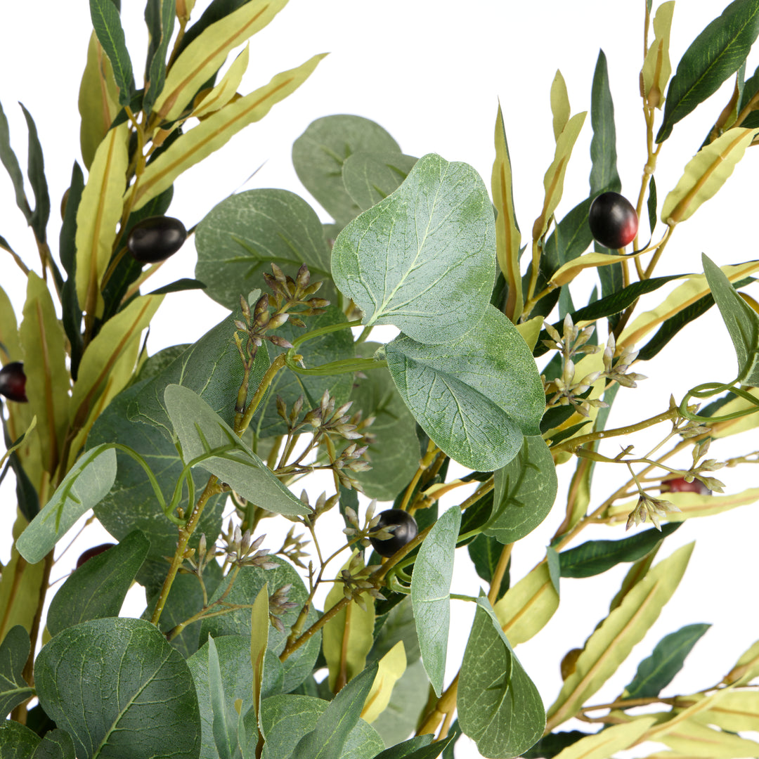 Florence Arrangement – Olive & Eucalyptus in Glass (70x70x86cm)