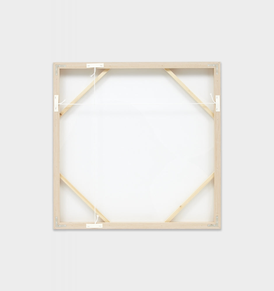 Organic Tessellation Framed Canvas Artwork 80x80cm