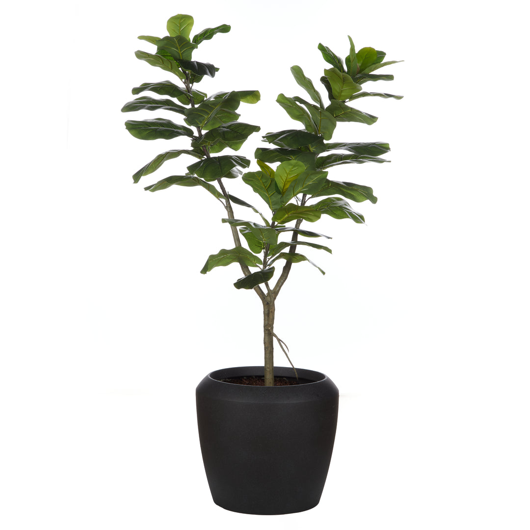 Havana Giant Fiddle Leaf Tree – Planter Included (120x120x250cm)