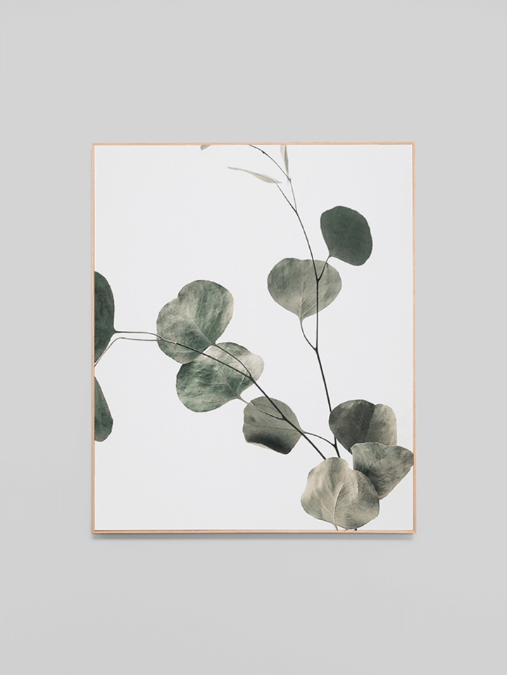 Eucalyptus 2 Canvas | 60 x 70xcm