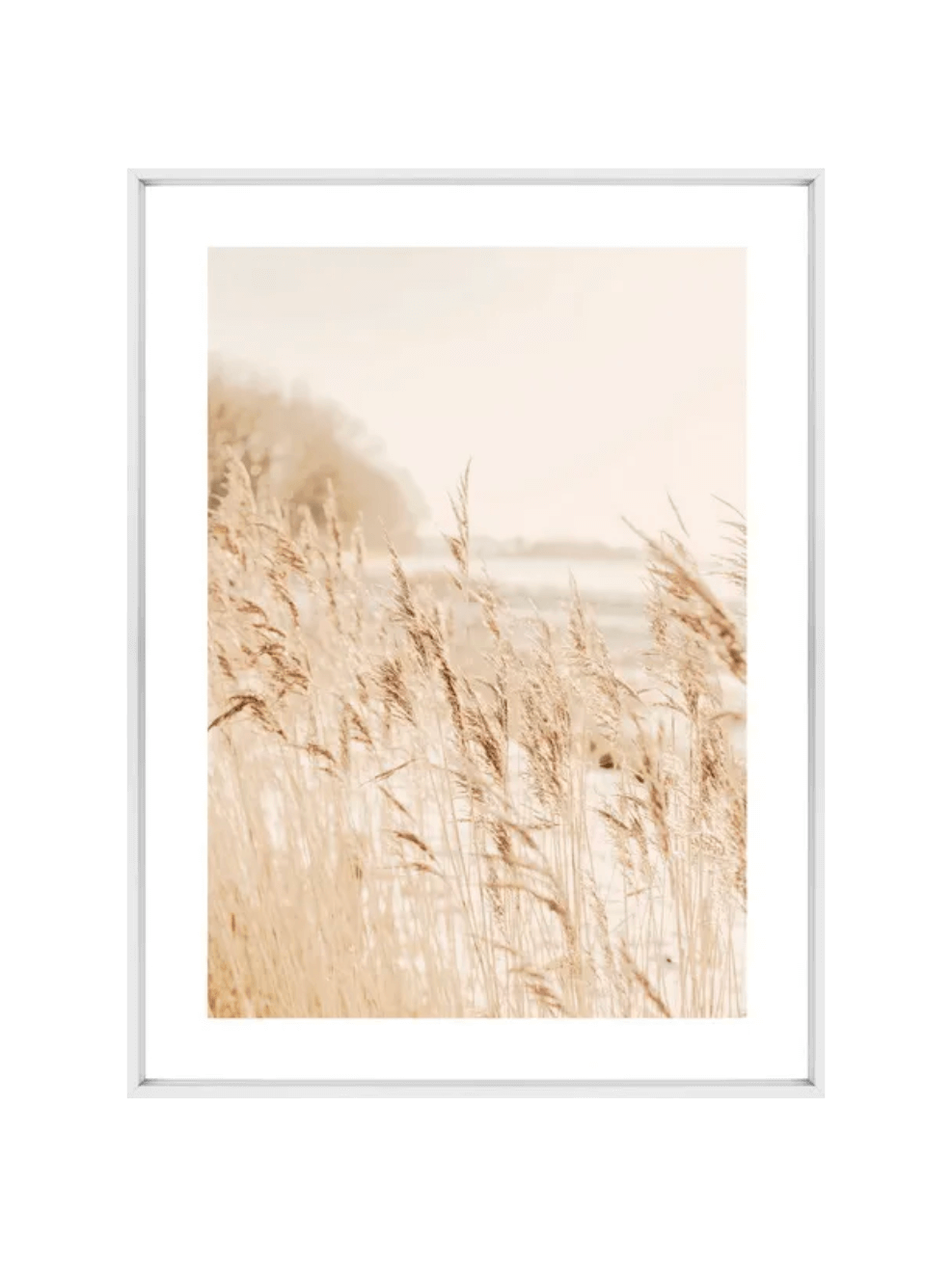 Pampas Breeze 1 Canvas | 80 x 100cm